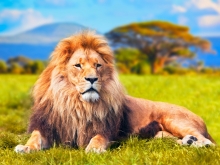 Voyage sur-mesure africa